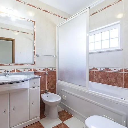 Tulipa البوفيرا