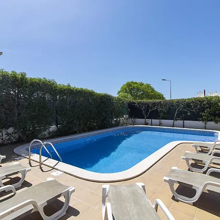 Tulipa アルブフェイラ