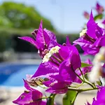Tulipa By Algarve Holidays Albufeira